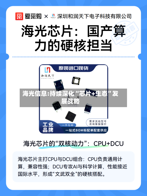 海光信息:持续深化“芯片+生态”发展战略
