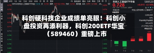 科创硬科技企业成绩单亮眼！科创小盘投资再添利器，科创200ETF华宝（589460）重磅上市-第3张图片