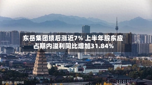东岳集团绩后涨近7% 上半年股东应占期内溢利同比增加31.84%-第2张图片