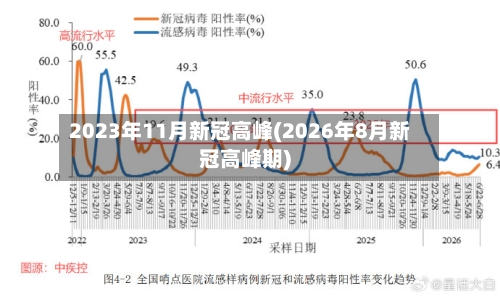 2023年11月新冠高峰(2026年8月新冠高峰期)