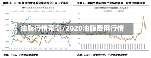 油脂行情预测/2020油脂费用行情-第2张图片