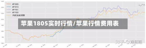 苹果1805实时行情/苹果行情费用表