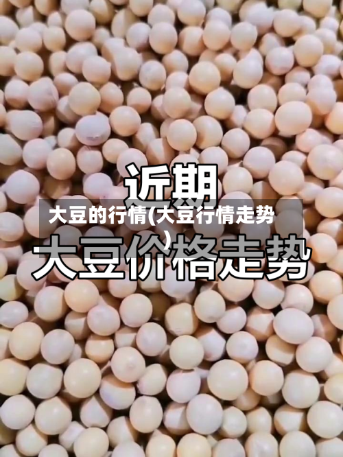 大豆的行情(大豆行情走势)