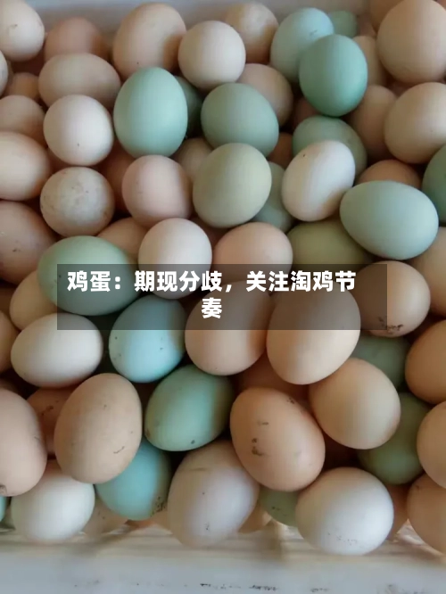 鸡蛋：期现分歧，关注淘鸡节奏-第1张图片