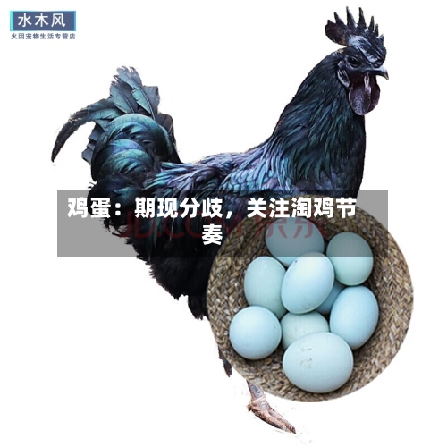 鸡蛋：期现分歧	，关注淘鸡节奏-第2张图片