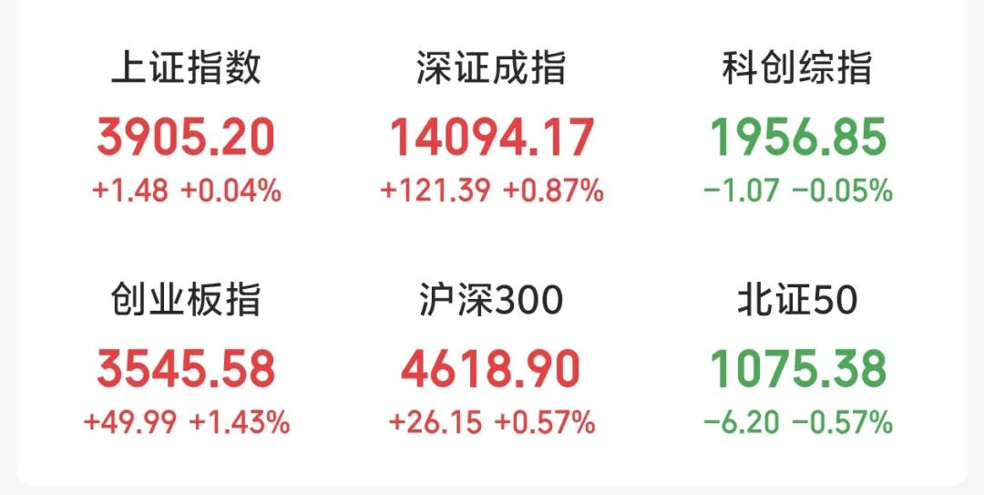 超级大单涌入，200亿龙头涨停